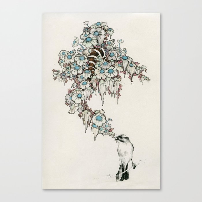 Little bird Canvas Print