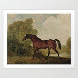 Vintage painting of a horse by George Stubbs Art Print | Historical, Nature, Illustration, Antique, Retro, Background, Drawing, Vintage, Artwork, Animal 