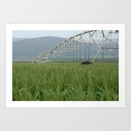 Irrigatozaurus Art Print