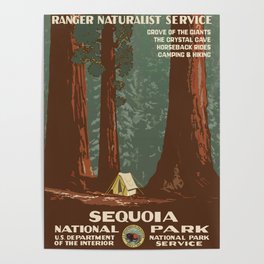 Vintage poster - Sequoia National ParkX Poster