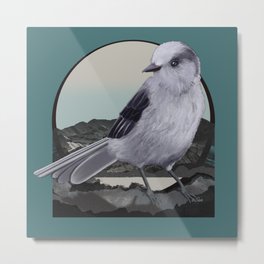 Alpine Gray Jay Bird Metal Print
