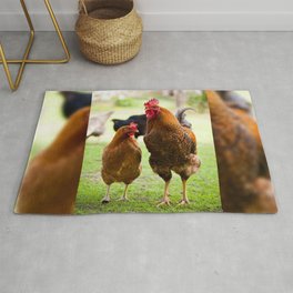 young Rhode Island Red chickens Rug