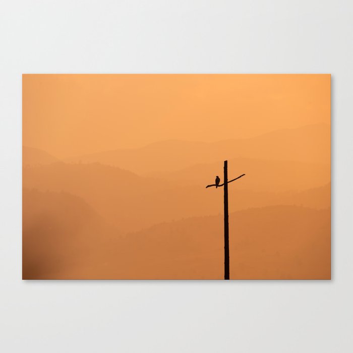 Hawk watching the sunset and the mountains Canvas Print
