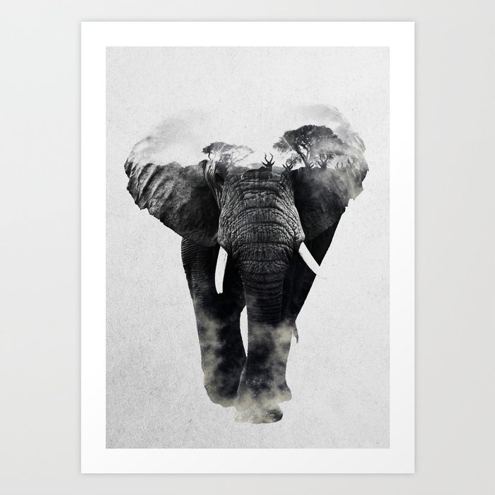 Discover the motif ELEPHANT by Andreas Lie as a print at TOPPOSTER