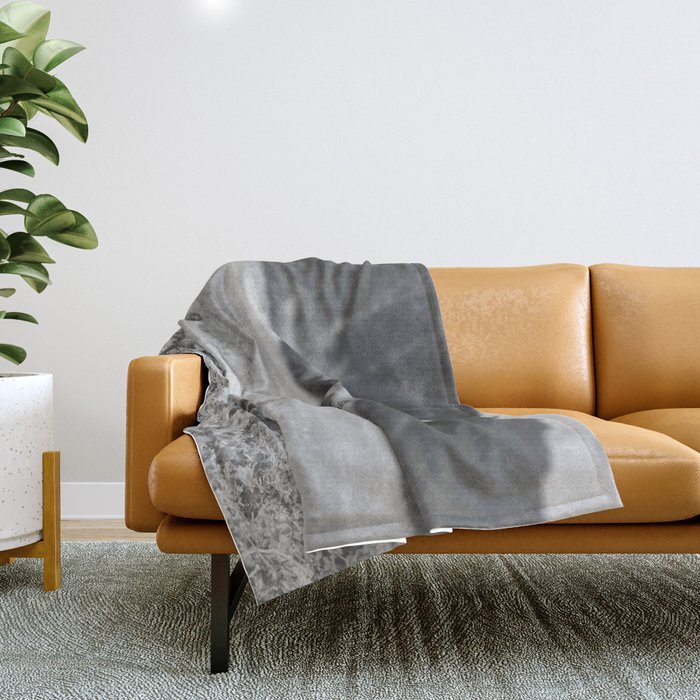 Dinosaur clearance throw blanket