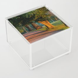 Dawn Stockholm Acrylic Box