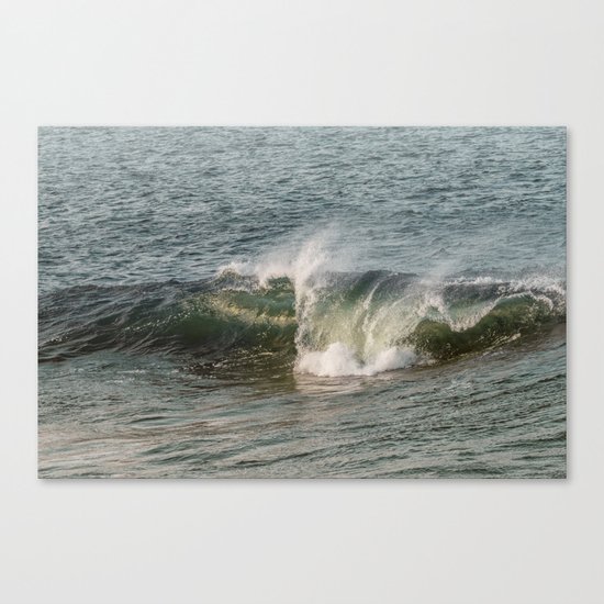 Wave at Bearskinneck Canvas Print