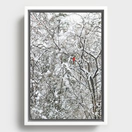 Bright Cardinal in the Snowy Woods Framed Canvas