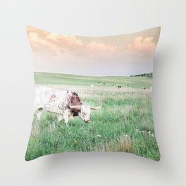 Oklahoma Longhorn Throw Pillow