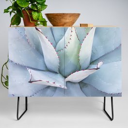 Mexico Photography - The Beautiful Agave Plant Credenza