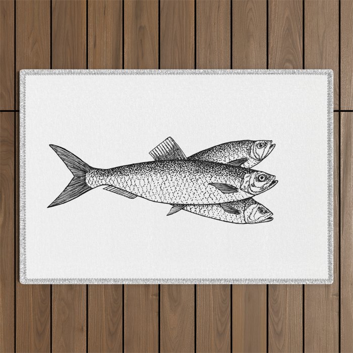 Herring Illustration - Three Fishes  Outdoor Rug