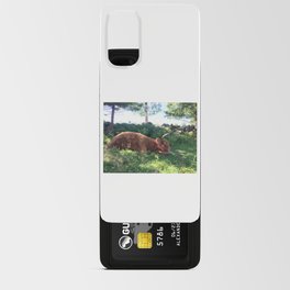 Fluffy Highland Cattle Cow 1184 Android Card Case