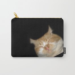 Funny Sleeping Cat Carry-All Pouch