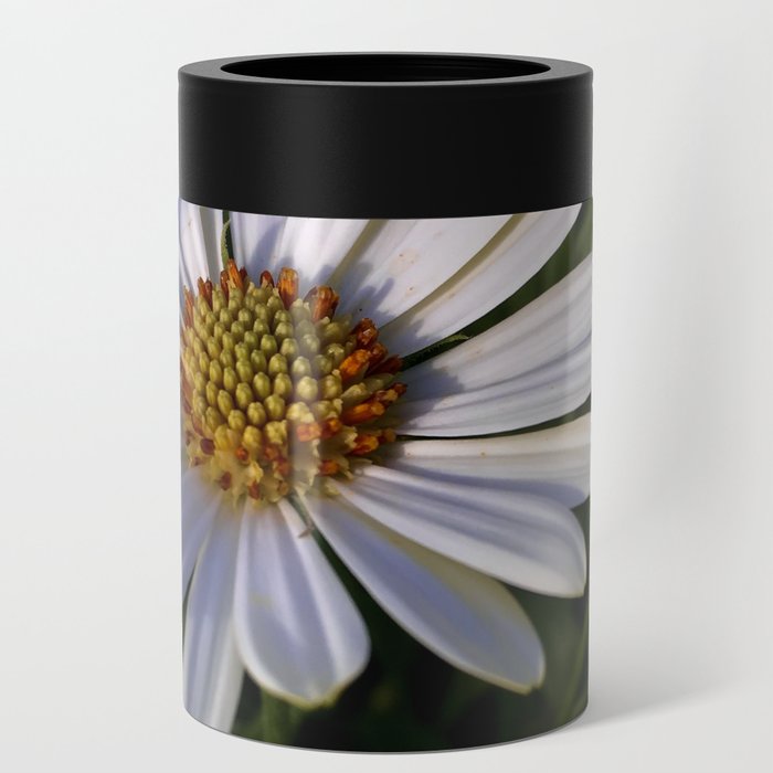Daisies in Twilight Can Cooler