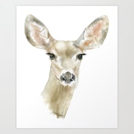 Doe Deer Watercolor Painting Fine Art Art Print By Susanwindsor