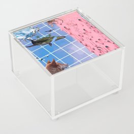 Turtles & Pigs All the Way Down Acrylic Box
