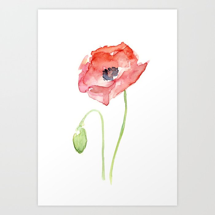 Red Poppy Flower Flowers Art Print