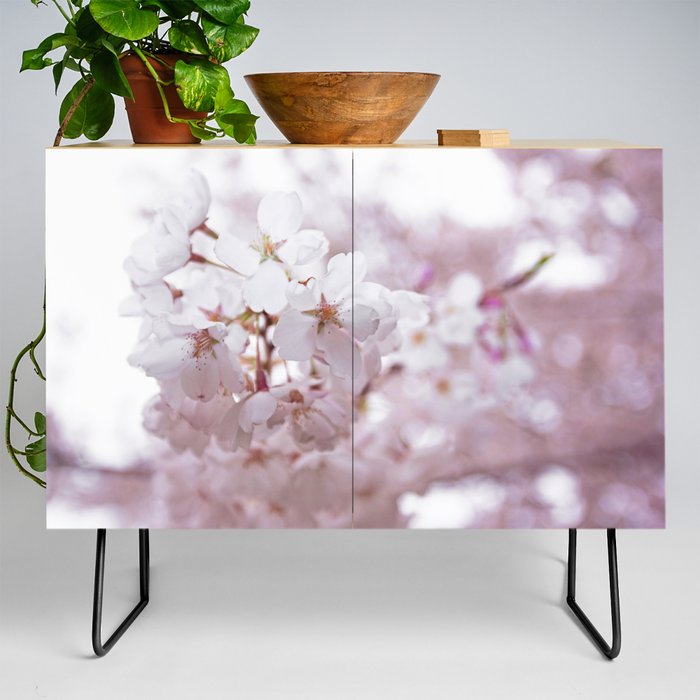High Park Cherry Blossoms on May 11th, 2018. V Credenza