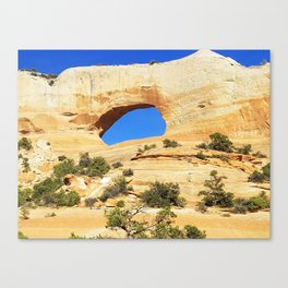 Arches Canvas Print