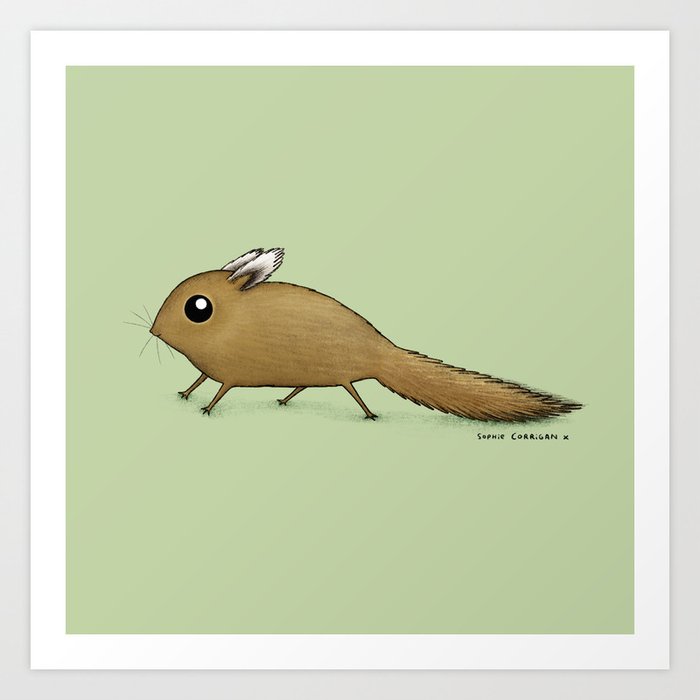 Tufted Pygmy Squirrel Art Print