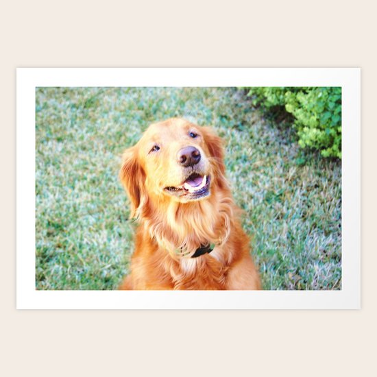 Picturesque Art Print