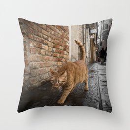 Street Cat Throw Pillow