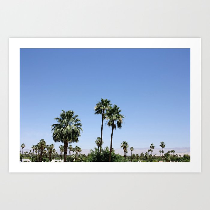 Palm Trees in Palm Springs Art Print