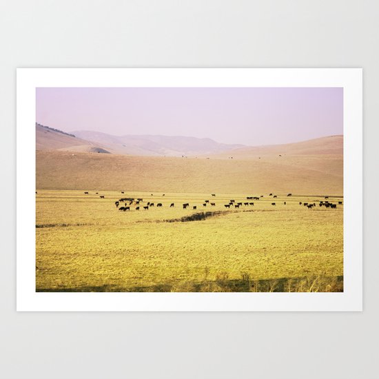 Coast Art Print