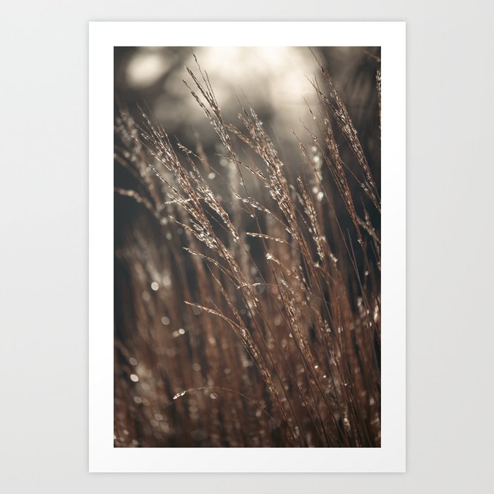 Dew drops on Grass, Earth Tones Art Print