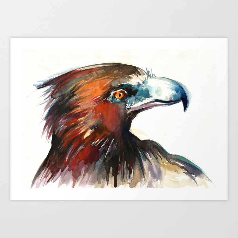 Eagle Head Detail Watercolor Painting Art Print By Soostiberiu