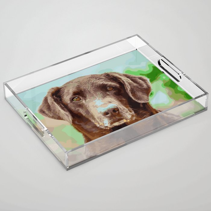 Brown Labrador Retriever Paint by Numbers Acrylic Tray