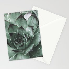 Botanical No. 17 Moody Succulent Photography Stationery Card