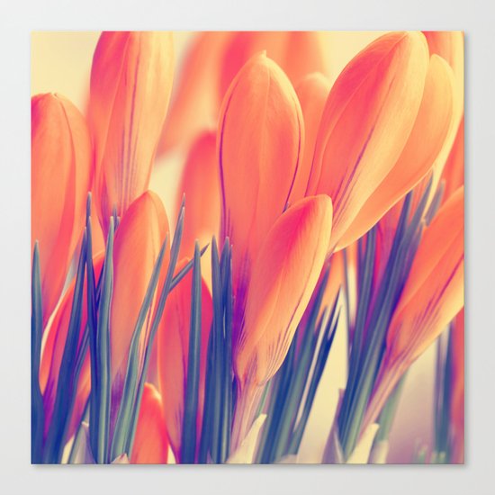 Spring 151 Canvas Print