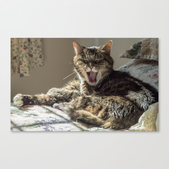 The laughing cat Canvas Print