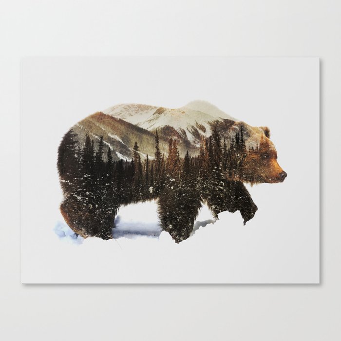 Arctic Grizzly Bear Canvas Print