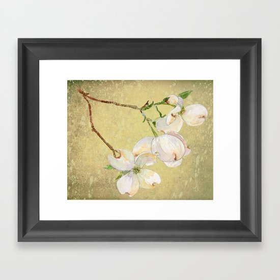 Dogwoods Framed Art Print