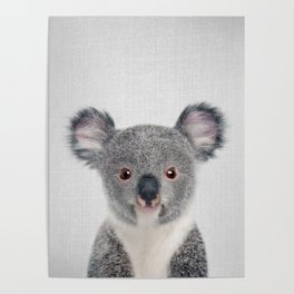 Baby Koala - Colorful Poster