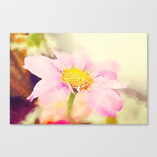 Pink 1 Canvas Print