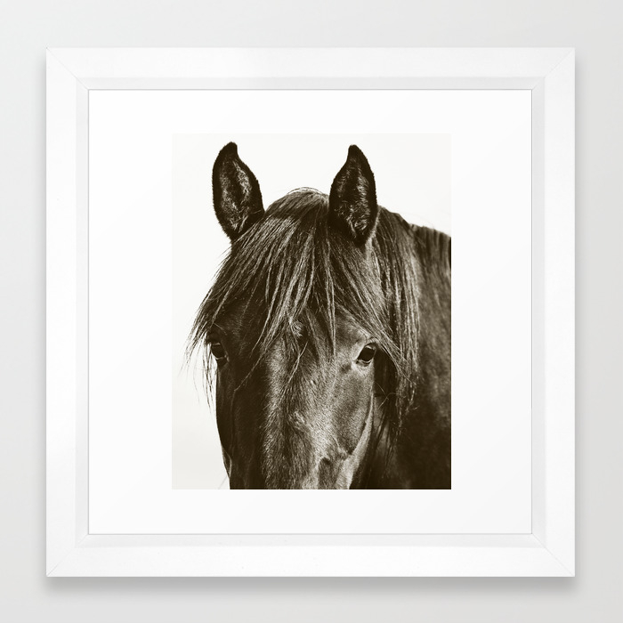 Black Horse Animal Photograph Vertical Framed Art Print By Applesandoatsphotography Society6
