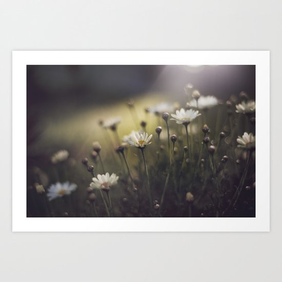 so what if I like pretty things? Art Print