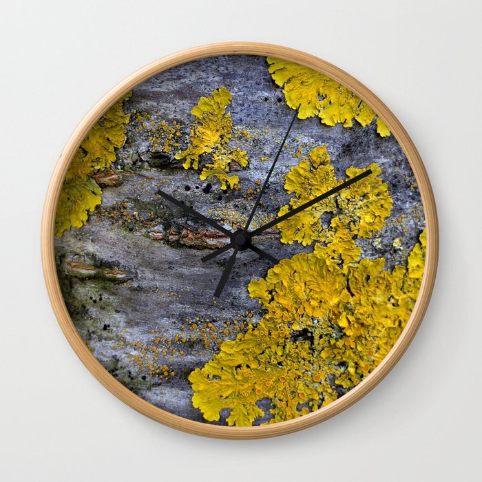 Tree Bark Pattern # 3 with yellow lichen Wall Clock