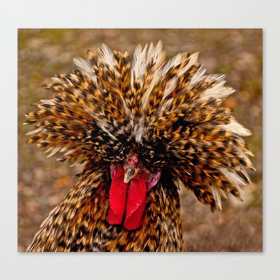DO YOU LIKE MY HAIRSTYLE Canvas Print