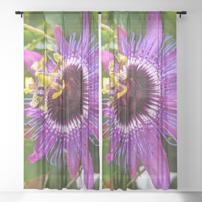 Purple Passiflora Sheer Curtain
