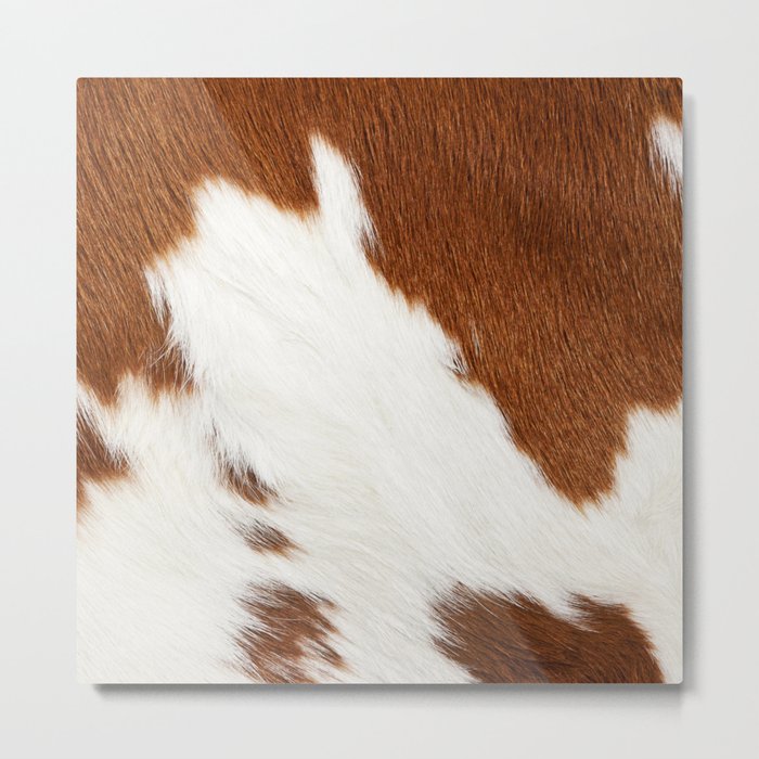 Brown Cowhide, Cow Skin Print Pattern Modern Cowhide Faux Leather Metal Print