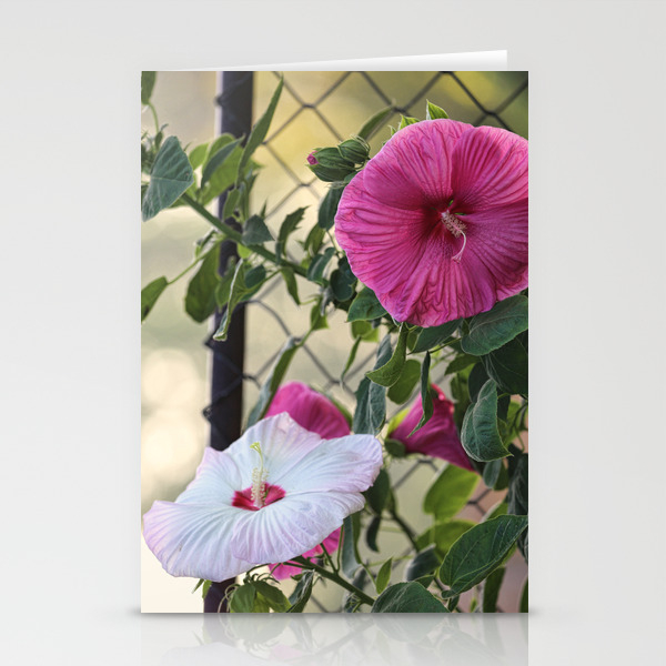 Hibiscus Flower Of Many Colors Stationery Cards By Daugustart Society6