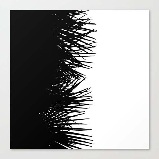 Side Fringe Canvas Print