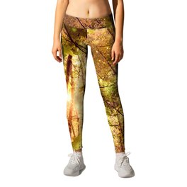 Forest of the Fairies Golden Leaves Leggings