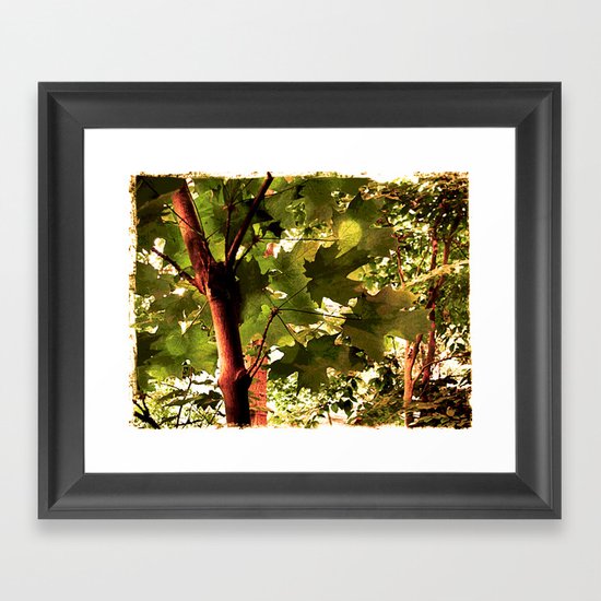 Maple Framed Art Print