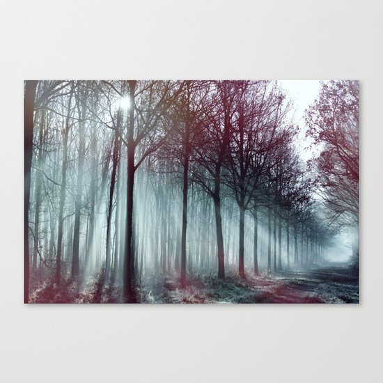 Mysterious Forest Canvas Print