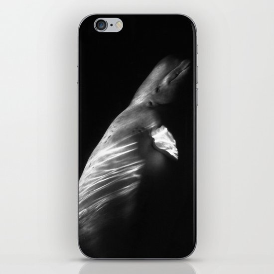 Whale iPhone & iPod Skin